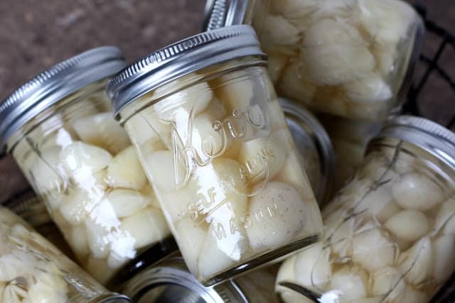 Best Ways to Preserve Garlic for Winter Freshness